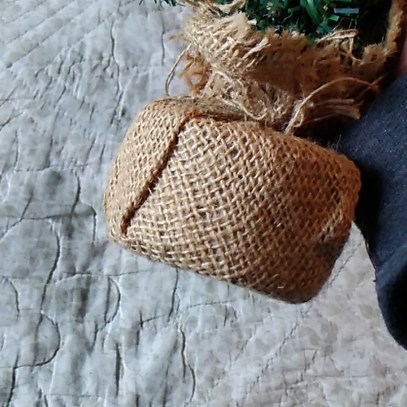 Mini Evergreen - Picture 3 of 3